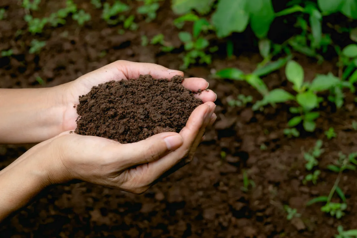 Soil Health