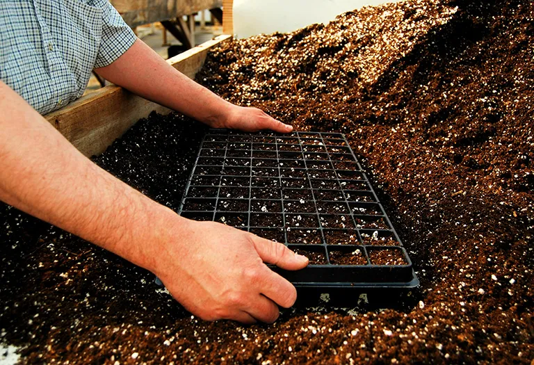 Spreader & Wetting Agents